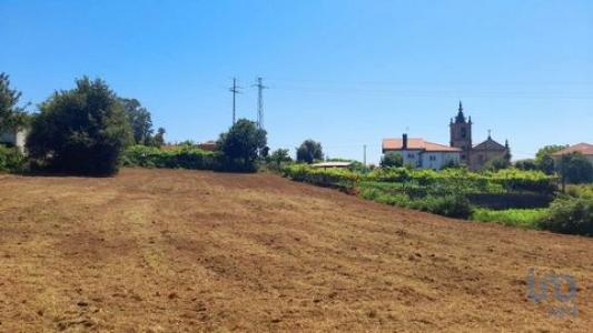 Vente Terrain Vila-verde CERVAES 03 au Portugal