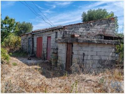 Vente Terrain Andorinha SEIXO-DA-BEIRA 06 au Portugal