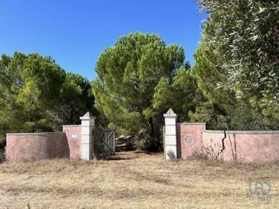 Annonce Vente Terrain Santarem