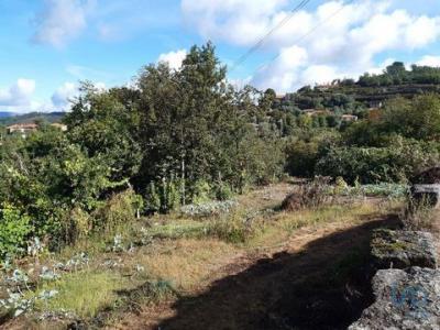 Annonce Vente Terrain Vieira-do-minho