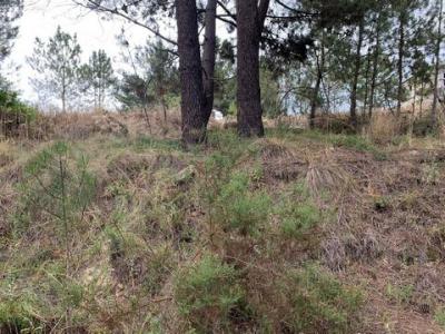 Annonce Vente Terrain Setubal