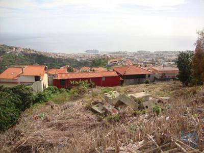 Annonce Vente Terrain Funchal