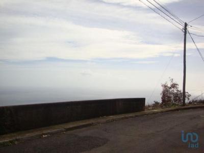 Acheter Terrain 807 m2 Funchal