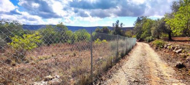 Acheter Terrain 1100 m2 Loule