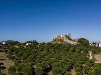 Acheter Terrain Setubal rgion SETUBAL