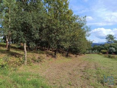 Acheter Terrain 4800 m2 Vila-nova-de-poiares