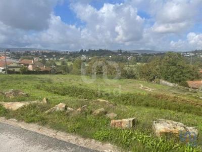 Acheter Terrain 4300 m2 Penafiel