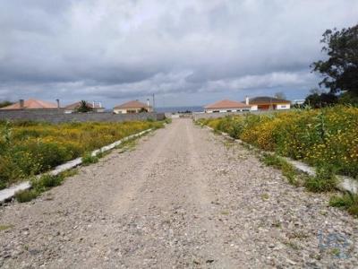 Annonce Vente Terrain Ribeira-grande