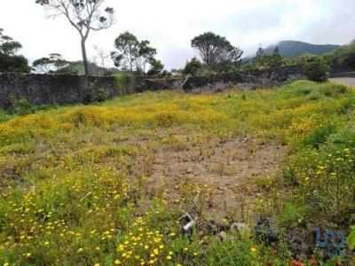 Acheter Terrain 1000 m2 Ribeira-grande