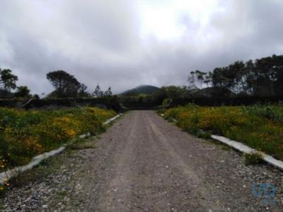 Acheter Terrain Ribeira-grande rgion ACORES