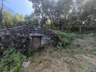 Vente Terrain Vieira-do-minho RUIVAES-E-CAMPOS 03 au Portugal