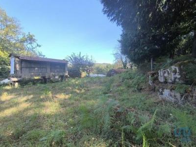 Annonce Vente Terrain Vieira-do-minho