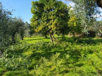 Acheter Maison Ferreira-do-zezere rgion SANTAREM