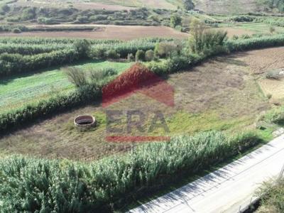 Acheter Terrain 8120 m2 Torres-vedras