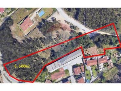 Acheter Terrain 5000 m2 Braga