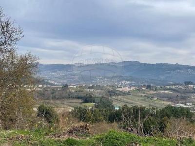 Acheter Terrain Cabeceiras-de-basto rgion BRAGA