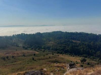 Acheter Terrain Vila-verde rgion COIMBRA