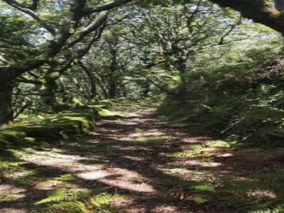 Vente Terrain Terras-de-bouro  03 au Portugal