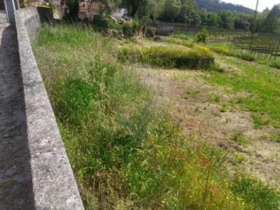 Acheter Terrain 779 m2 Santo-tirso