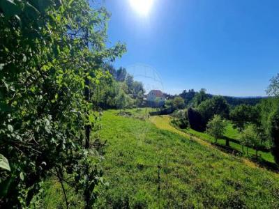 Acheter Terrain 1029 m2 Vieira-do-minho