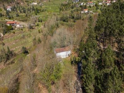 Annonce Vente Maison Celorico-de-basto