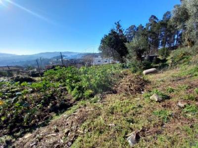 Annonce Vente Terrain Arcos-de-valdevez