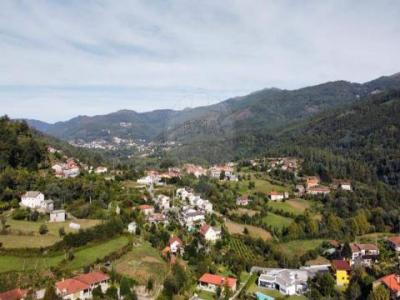 Acheter Terrain 1570 m2 Vieira-do-minho