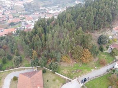 Acheter Terrain 7490 m2 Santo-tirso