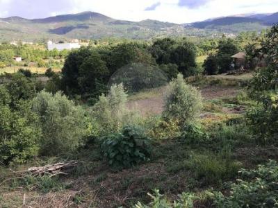 Annonce Vente Terrain Cabeceiras-de-basto