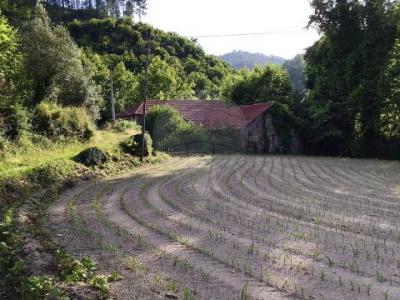 Vente Terrain Celorico-de-basto  03 au Portugal