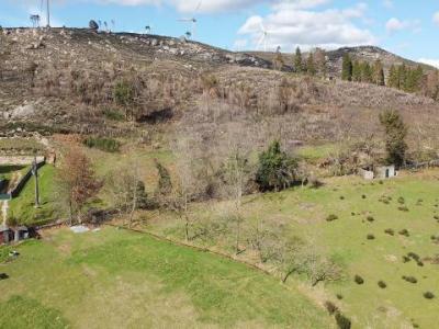 Annonce Vente Terrain Celorico-de-basto