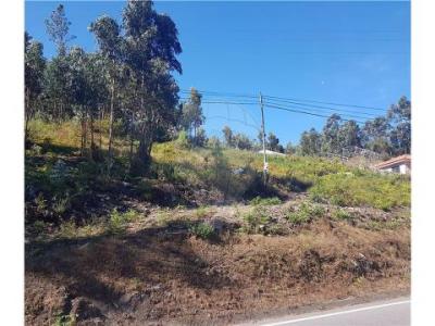 Annonce Vente Terrain Povoa-de-lanhoso