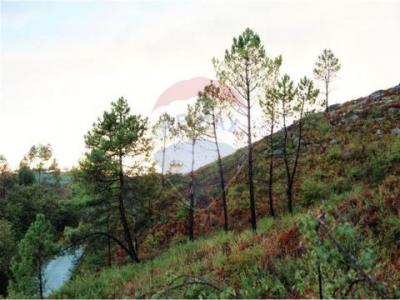 Vente Terrain Fafe  03 au Portugal