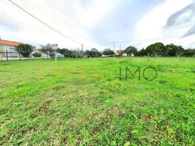 Annonce Vente Terrain Caldas-da-rainha