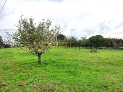 Acheter Terrain 300 m2 Caldas-da-rainha