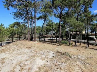 Acheter Terrain 545 m2 Setubal