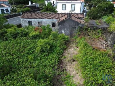 Annonce Vente Maison Sao-roque-do-pico