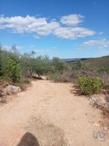 Acheter Terrain 10480 m2 Loule