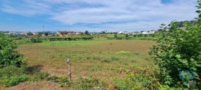 Annonce Vente Terrain Lousada