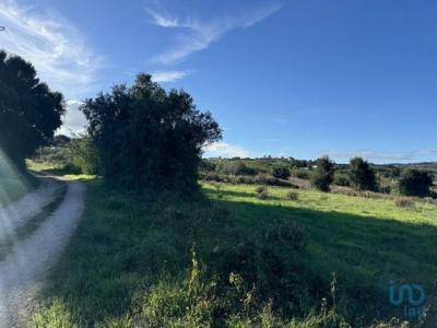 Vente Terrain Alenquer VENTOSA 11 au Portugal