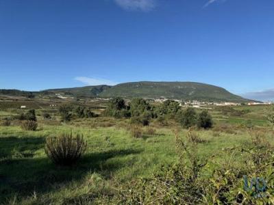 Acheter Terrain 7440 m2 Alenquer