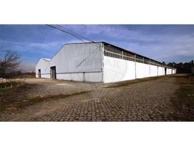 Annonce Location Local industriel Guimaraes