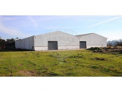 Louer Local industriel 1500 m2 Guimaraes