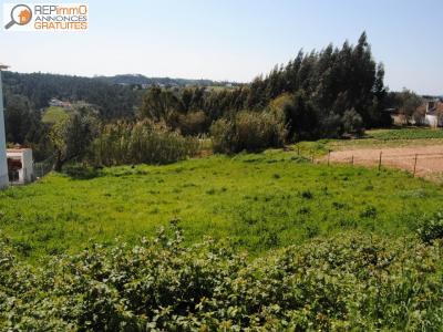 Annonce Vente Terrain Caldas-da-rainha