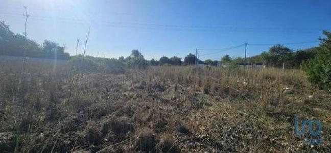 Acheter Terrain 2680 m2 Loule