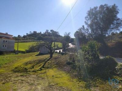 Vente Terrain Alcobaca ALCOBAAA-E-VESTIARIA 10 au Portugal