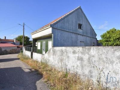 Acheter Maison Penela rgion COIMBRA