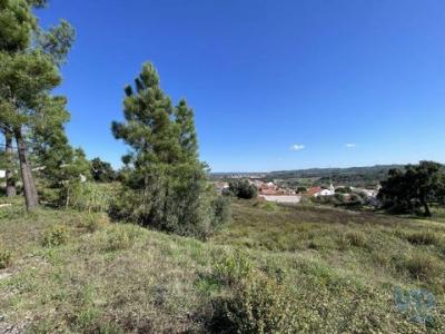 Acheter Terrain 4640 m2 Alem-da-ribeira