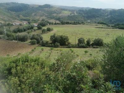 Annonce Vente Terrain Mafra