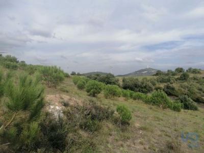 Acheter Terrain 14250 m2 Mafra